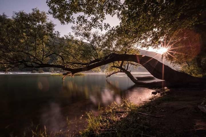 Nektar Park Villa Sara Bihać Eksteriør bilde