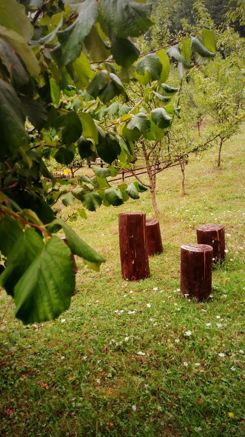 Nektar Park Villa Sara Bihać Eksteriør bilde