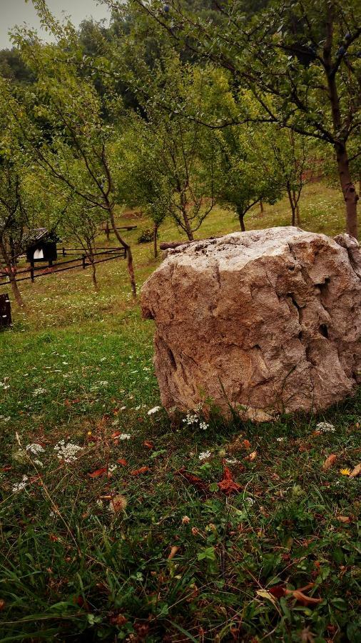 Nektar Park Villa Sara Bihać Eksteriør bilde